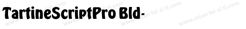 TartineScriptPro Bld字体转换